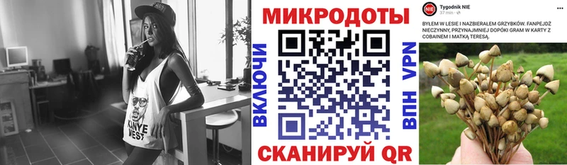 Псилоцибиновые грибы мухоморы  Купить  Пушкино